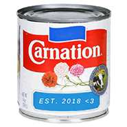 Carnation Zine