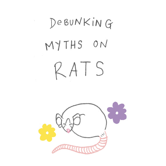 Debunking Myths on Rats (DIGITAL)