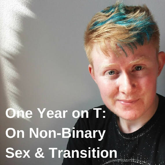 One Year on T: On Non-Binary Sex & Transition | Digital Zine