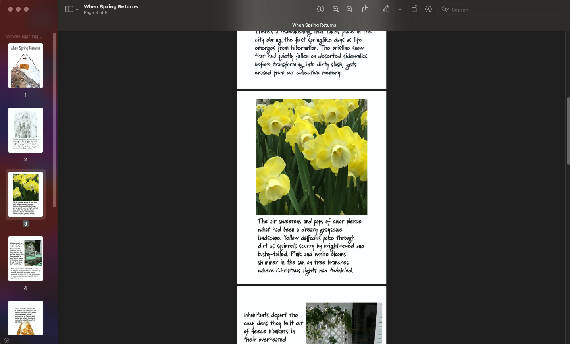 When Spring Returns (PDF Digital Download)