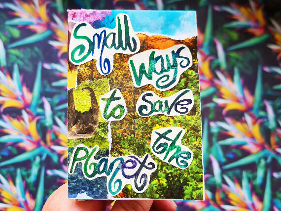Small Ways to Save the Planet (digital)