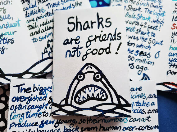 Sharks are friends not food! (digital)