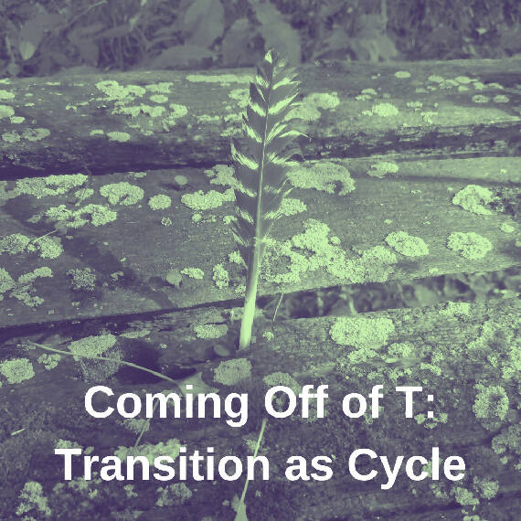 Coming Off of T: Transition as Cycle | Digital Zine